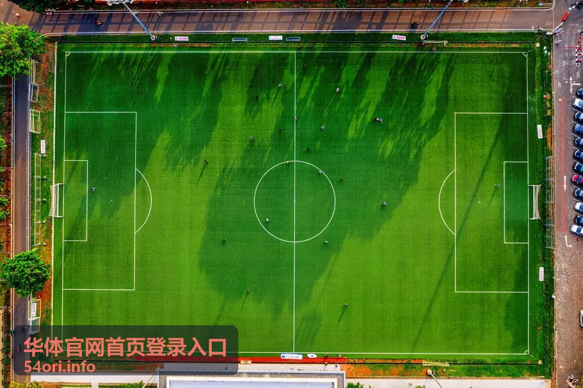 登录后可用的华体场馆赛事服务展示图