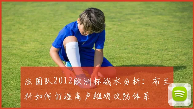 法国队2012欧洲杯战术分析：布兰科如何打造高卢雄鸡攻防体系