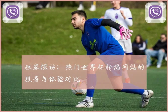 独家探访：热门世界杯转播网站的服务与体验对比
