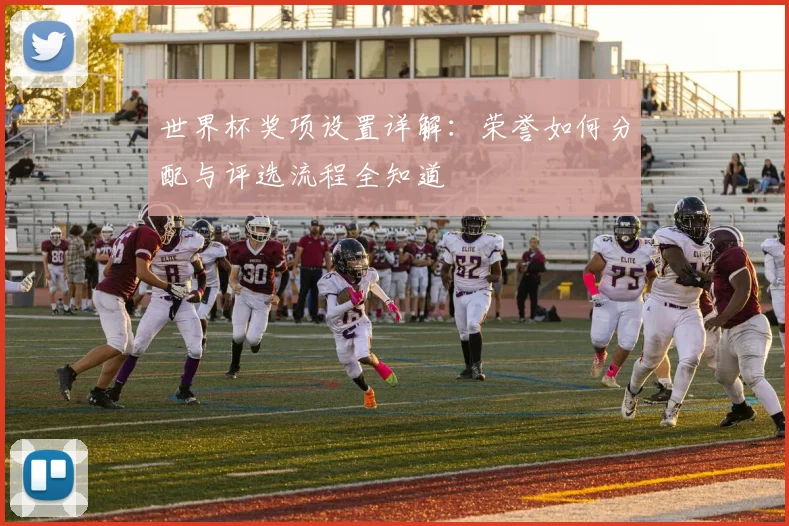世界杯奖项设置详解：荣誉如何分配与评选流程全知道