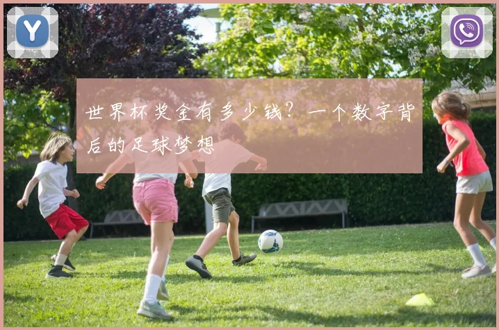 世界杯奖金有多少钱？一个数字背后的足球梦想