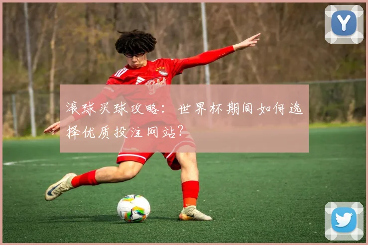 滚球买球攻略:世界杯期间如何选择优质投注网站?