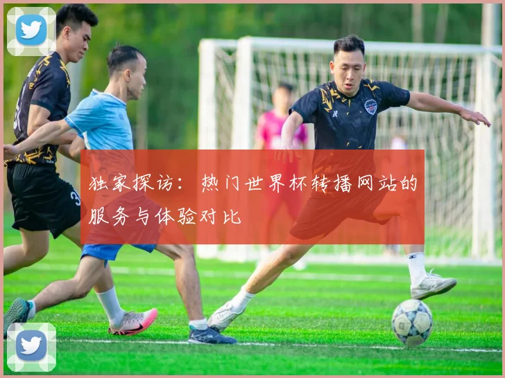 独家探访：热门世界杯转播网站的服务与体验对比