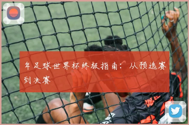 年足球世界杯终极指南：从预选赛到决赛